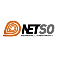Netso ® Logo