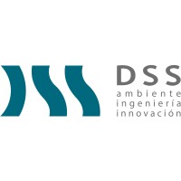 DSS S.A. Logo