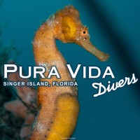 Pura Vida Divers Logo