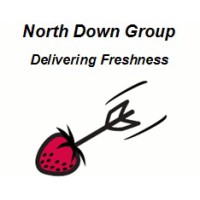 North Down Group Logo
