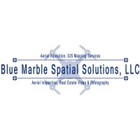 Blue Marble Spatial Solutions, LLC Logo