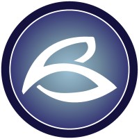 Belleview Consulting Logo