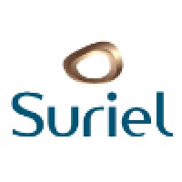 Suriel Marketing - Gestão de Marcas Logo