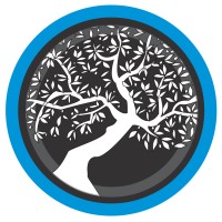 Olivo Group LLC Logo