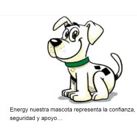 Enersa Safety First Logo