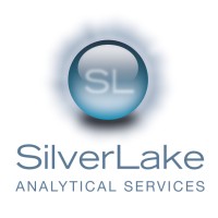 Silver Lake Analytical Services LLC Logo