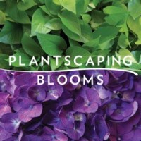 Plantscaping & Blooms Logo