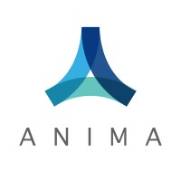 Anima Consultores Logo