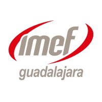 Imef Guadalajara Logo
