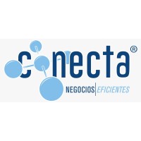 Conecta Negocios Eficientes Logo
