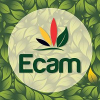 Ecam Logo