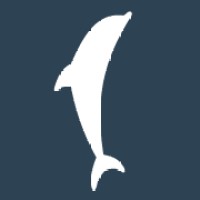 Delfino Design Studio - Making Waves in Creative Services Logo