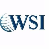 DigitalMenteWSI Logo