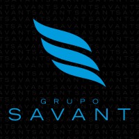Grupo Savant Telecom Logo