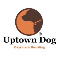 Uptown Dog Daycare & Boarding Logo