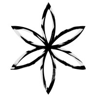 Palindrome Design Logo