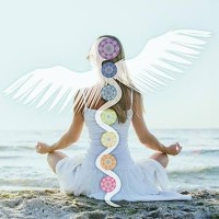 Holistic Bio Spa Logo