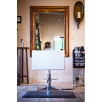 Alexandrias Salon and Spa Logo