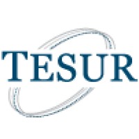 Tesur SA - Organización TECHINT Logo