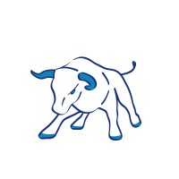 KnoBull Logo