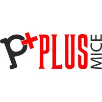 Plus Turizm Organizasyon Hizmetleri San ve Tic AŞ Logo