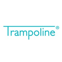 Trampoline Marketing Digital Logo