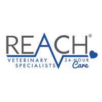 REACH Veterinary Specialists Logo