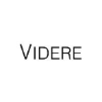 Videre Group Logo