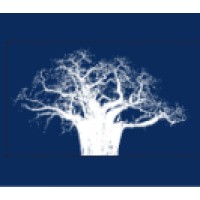 Pan African Capital Group, LLC Logo