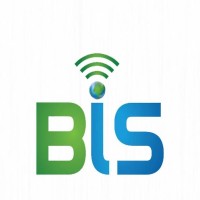 Bright Information Systems Logo