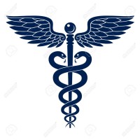 Physician and Nurse Licensing Services Logo