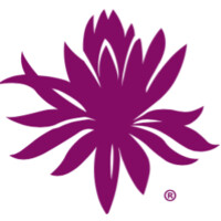 The Sacred Space Miami Logo