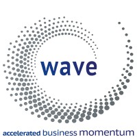 the wave momentum Logo