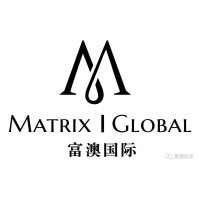 MATRIX GLOBAL INVESTMENT PTY LTD Logo