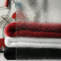 Glass Innovations, Inc Logo