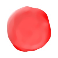 Redland Studios Logo