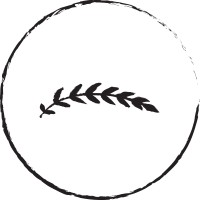 Beautiful Minds Counseling, Coaching, and Consulting PLLC Logo