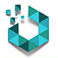 The Lucid Business Analyst, Inc. (a LITHCAP Company) Logo