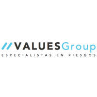 Values Group Logo