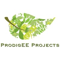 ProdigEE Projects Logo