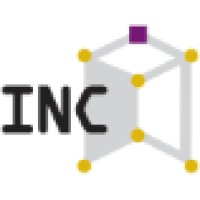 Institute of Network Coding Logo