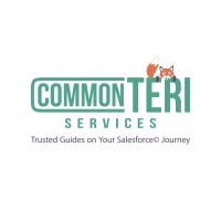 CommonTeri Services, Inc. Logo