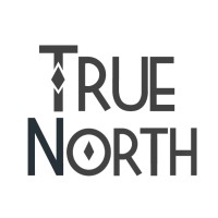 TrueNorth Marketing & Sales Consulting Logo