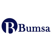 Bumsa Inc. Logo