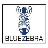 Blue Zebra Marketing Logo