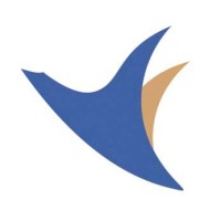 Fleet Air International Kft. Logo