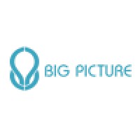Big Picture Digital Logo