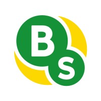 Brazil Sistem Logo