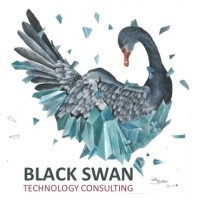 Black Swan Technology Consulting Logo