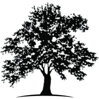 White Oak Healthcare Finance, LLC Logo